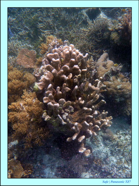 2009    07    Manatabuan 13